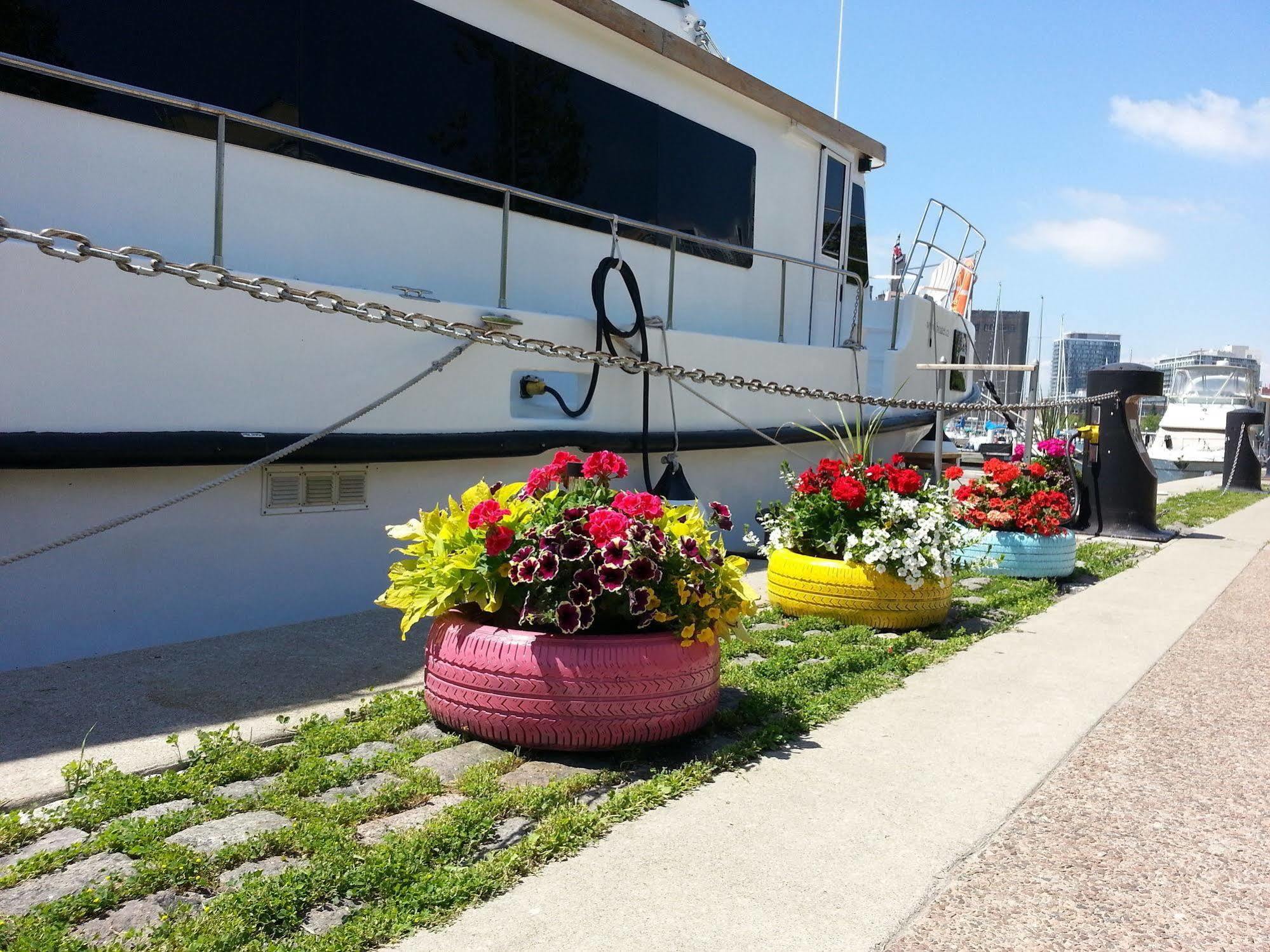 Bed and Breakfast Making Waves Boatel Торонто Екстер'єр фото